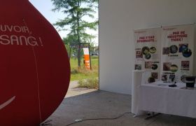 stand du moustique tigre