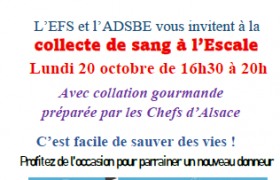 Flyer A5 distribué dans Entzheim