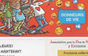 carte chouette 18 ans