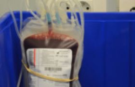 poche de sang juste après un don.jpg